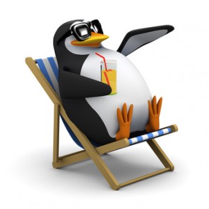 22.05 Google Penguin 2013